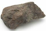 Chondrite Meteorite ( g) - Western Sahara Desert #226975-1
